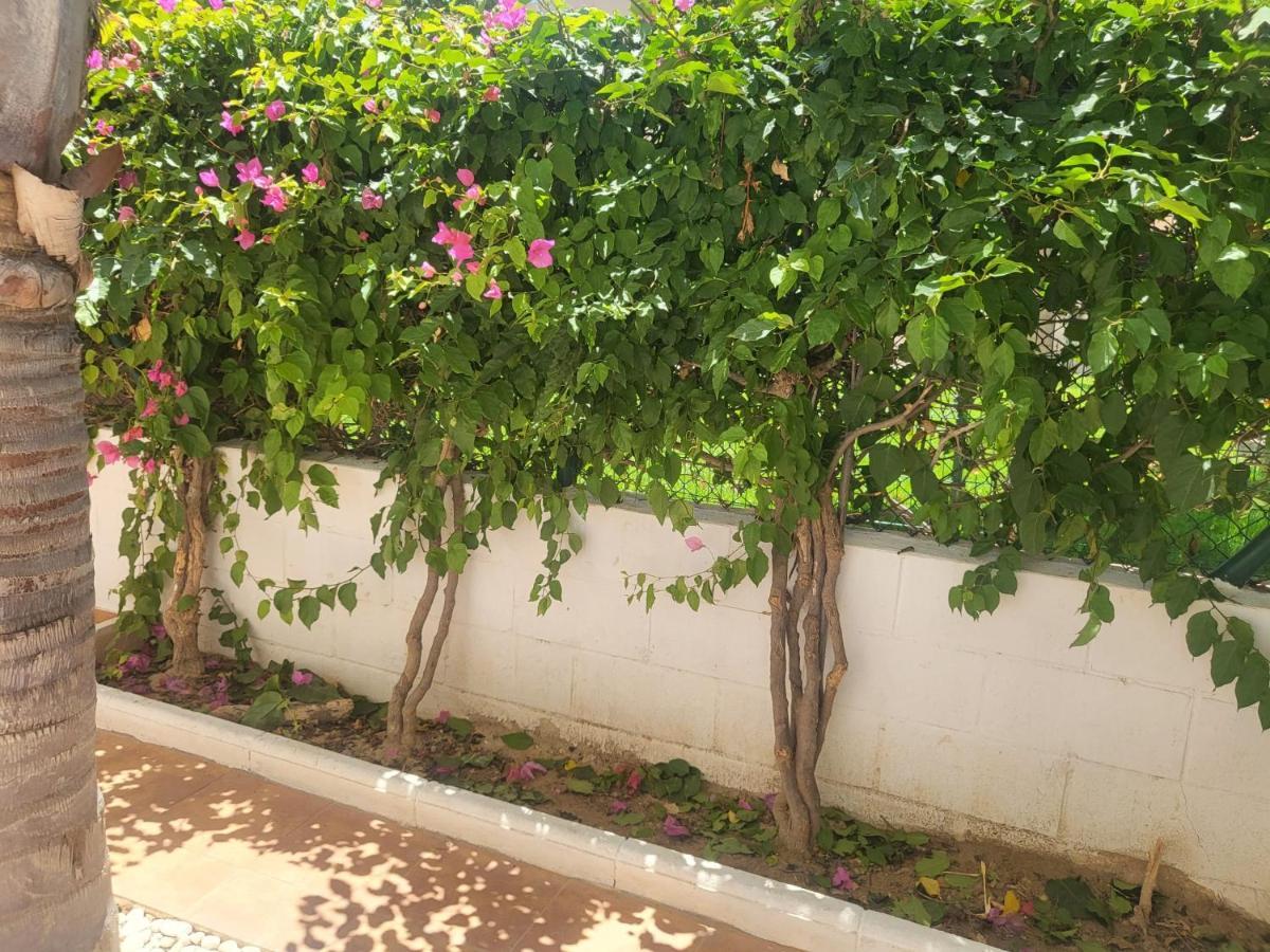 ¡Bajo Precioso Con Salida Directa A La Piscina Comunitaria En Paraiso De Vera! Ngoại thất bức ảnh